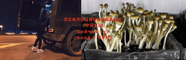 хмурый Беломорск