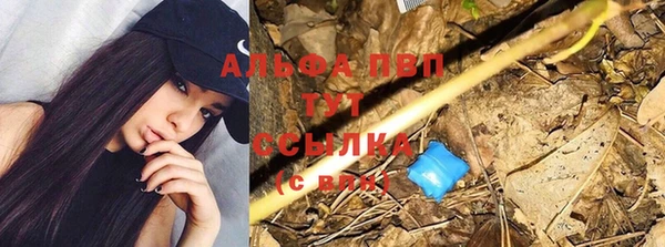 хмурый Беломорск