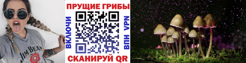 Псилоцибиновые грибы MAGIC MUSHROOMS  mega как войти  Пионерский 