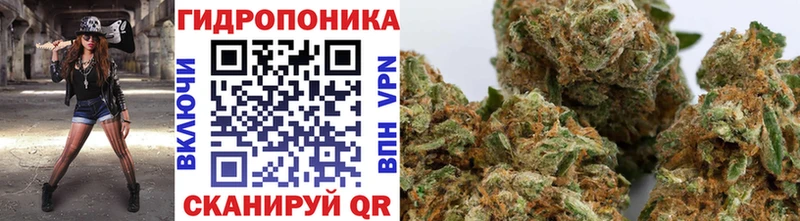 сколько стоит Пионерский Каннабис Ganja